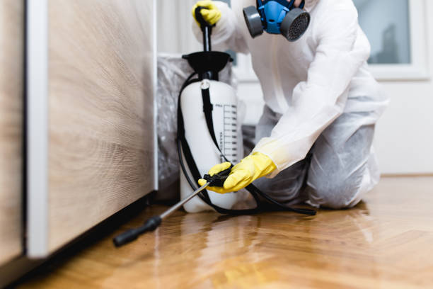 Best Local Pest Control Services  in Mount Plymouth, FL