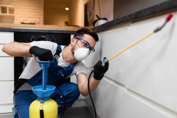 Best Mosquito Control Services  in Mount Plymouth, FL