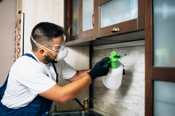 Best Emergency Pest Control  in Mount Plymouth, FL
