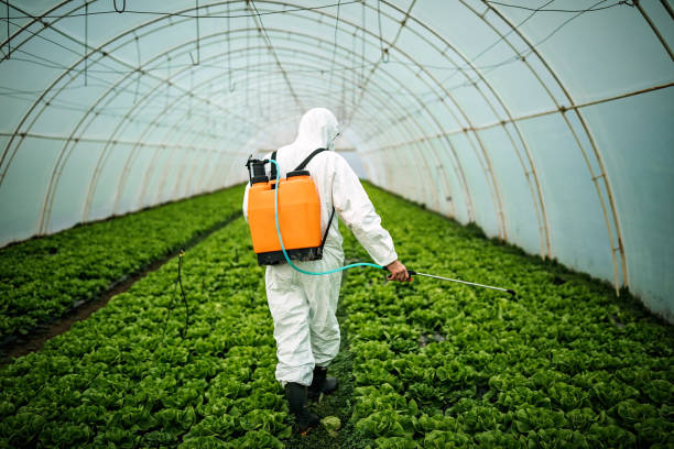 Best Pest Removal Services  in Mount Plymouth, FL