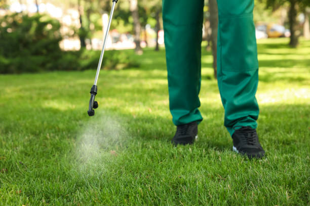 Best Affordable Pest Control Services  in Mount Plymouth, FL