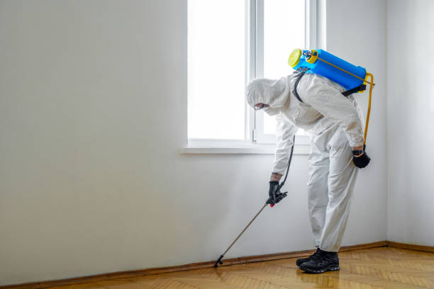 Best Wasp Removal Services  in Mount Plymouth, FL
