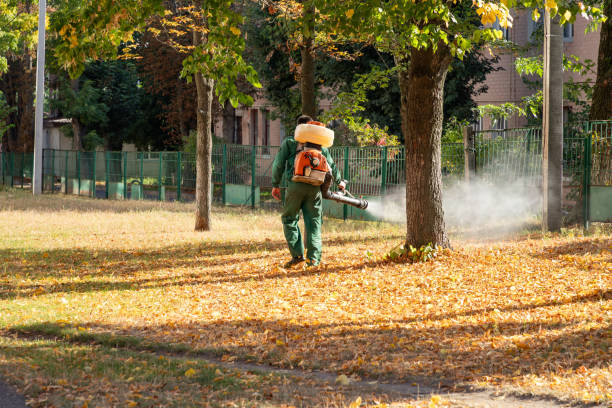 Best Pest Inspection Near Me  in Mount Plymouth, FL