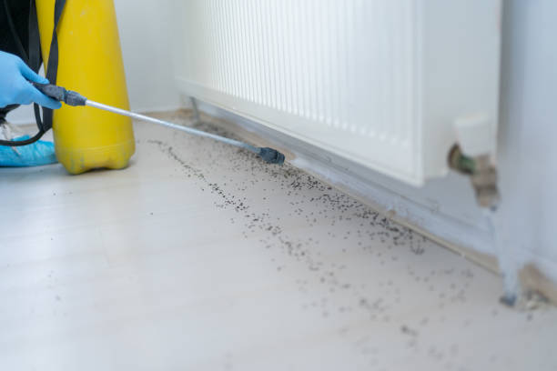 Pest Control for Restaurants in Mount Plymouth, FL