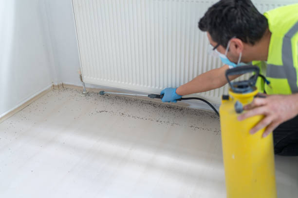 Best Rat Extermination Near Me  in Mount Plymouth, FL