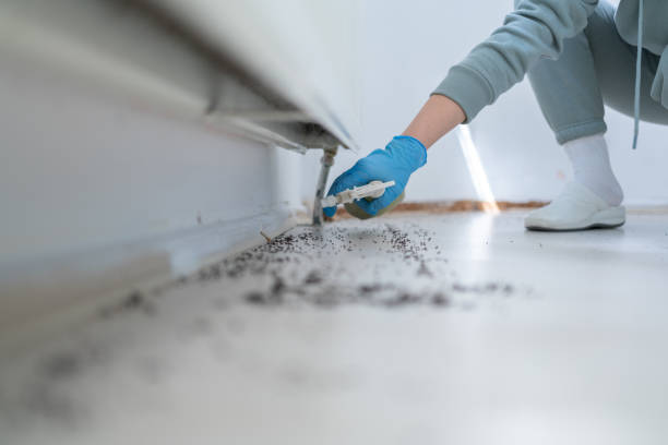 Best Pest Control Near Me  in Mount Plymouth, FL