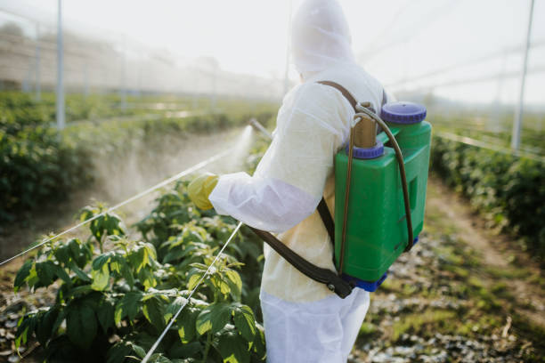 Best Wasp Removal Services  in Mount Plymouth, FL
